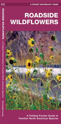 Roadside Wildflowers: A Folding Pocket Guide to Familiar North American Species