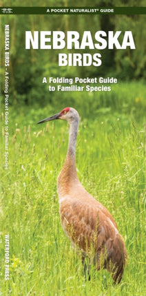 Nebraska Birds: A Folding Pocket Guide to Familiar Species