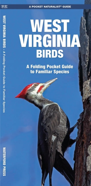 West Virginia Birds: A Folding Pocket Guide to Familiar Species