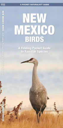 New Mexico Birds: A Folding Pocket Guide to Familiar Species