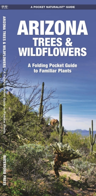 Arizona Trees & Wildflowers: A Folding Pocket Guide to Familiar Species