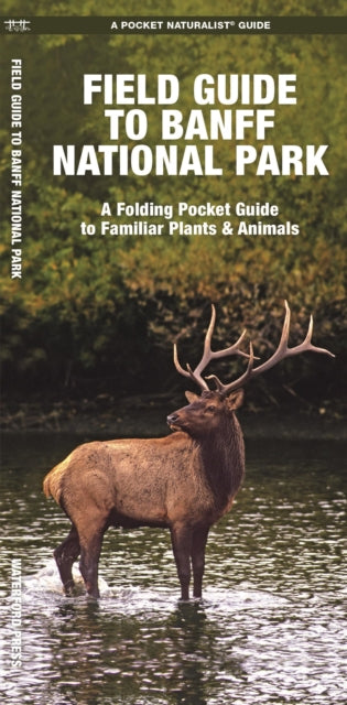 Banff National Park, Field Guide to: A Folding Pocket Guide to Familiar Species