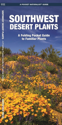 Southwestern Desert Plants: A Folding Pocket Guide to Familiar Species