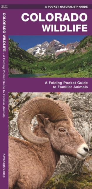 Colorado Wildlife: A Folding Pocket Guide to Familiar Animals