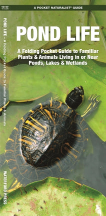 Pond Life: A Folding Pocket Guide to Familiar Plants & Animals Living in or Near Ponds, Lakes & Wetlands