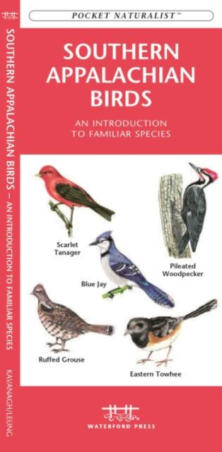 Southern Appalachian Birds: A Folding Pocket Guide to Familiar Species