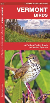 Vermont Birds: A Folding Pocket Guide to Familiar Species