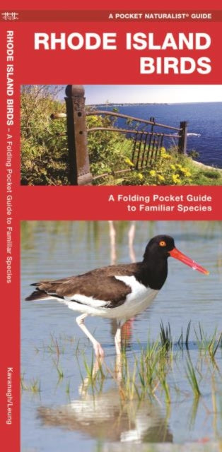 Rhode Island Birds: A Folding Pocket Guide to Familiar Species