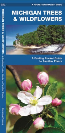 Michigan Trees & Wildflowers: A Folding Pocket Guide to Familiar Species