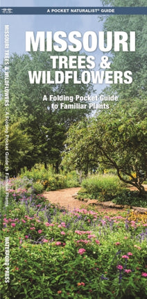 Missouri Trees & Wildflowers: A Folding Pocket Guide to Familiar Species