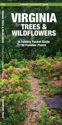 Virginia Trees & Wildflowers: A Folding Pocket Guide to Familiar Plants