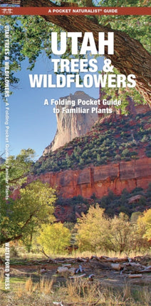 Utah Trees & Wildflowers: A Folding Pocket Guide to Familiar Species