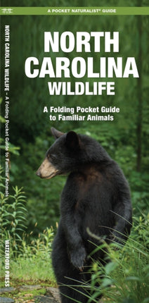 North Carolina Wildlife: A Folding Pocket Guide to Familiar Species