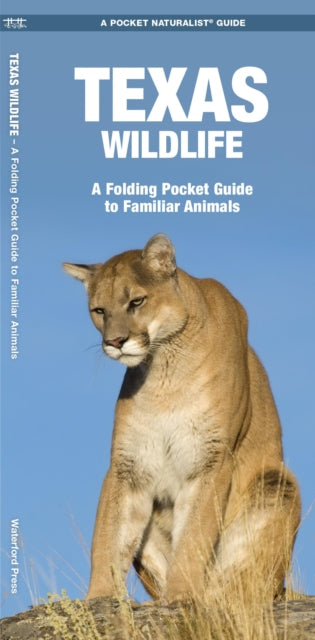 Texas Wildlife: A Folding Pocket Guide to Familiar Species