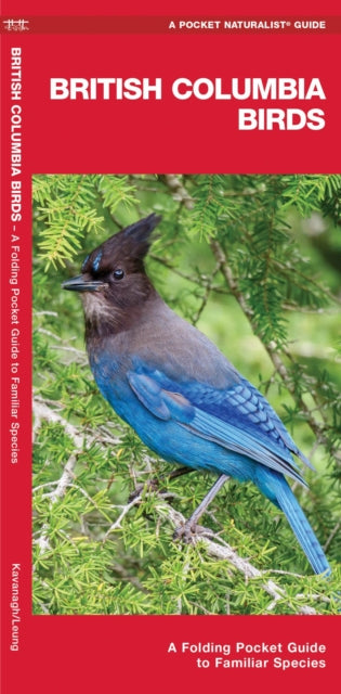 British Columbia Birds: A Folding Pocket Guide to Familiar Species