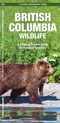 British Columbia Wildlife: A Folding Pocket Guide to Familiar Species