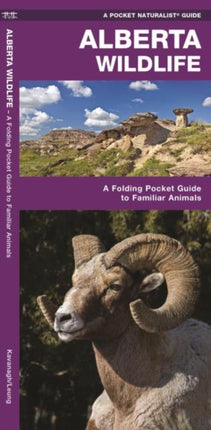 Alberta Wildlife: A Folding Pocket Guide to