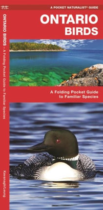 Ontario Birds: A Folding Pocket Guide to Familiar Species