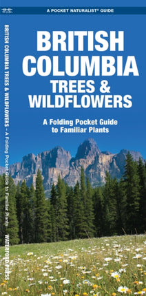 British Columbia Trees  Wildflowers
