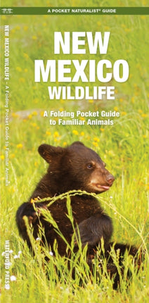 New Mexico Wildlife A Folding Pocket Guide to Familiar Species A Pocket Naturalist Guide