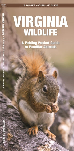 Virginia Wildlife: A Folding Pocket Guide to Familiar Species