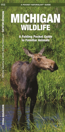 Michigan Wildlife: A Folding Pocket Guide to Familiar Species