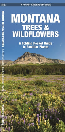 Montana Trees & Wildflowers: A Folding Pocket Guide to Familiar Species