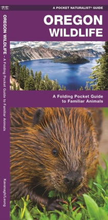 Oregon Wildlife: A Folding Pocket Guide to Familiar Species