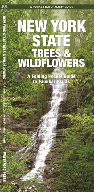 New York State Trees & Wildflowers: A Folding Pocket Guide to Familiar Species