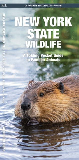 New York State Wildlife: A Folding Pocket Guide to Familiar Species