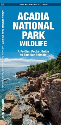 Acadia National Park Wildlife: A Folding Pocket Guide to Familiar Species