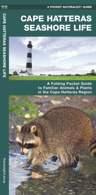 Cape Hatteras Seashore Life: A Folding Pocket Guide to Familiar Plants & Animals in the Cape Hatteras Region