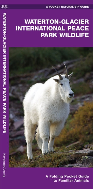 Waterton-Glacier International Peace Park Wildlife: A Folding Pocket Guide to Familiar Species