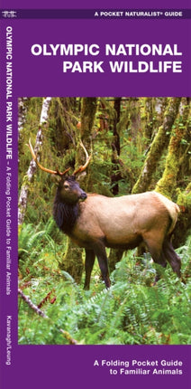 Olympic National Park Wildlife: A Folding Pocket Guide to Familiar Species