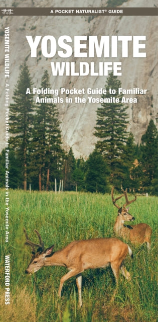 Yosemite Wildlife: A Folding Pocket Guide to Familiar Species