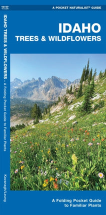 Idaho Trees & Wildflowers: A Folding Pocket Guide to Familiar Species