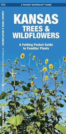 Kansas Trees & Wildflowers: A Folding Pocket Guide to Familiar Species