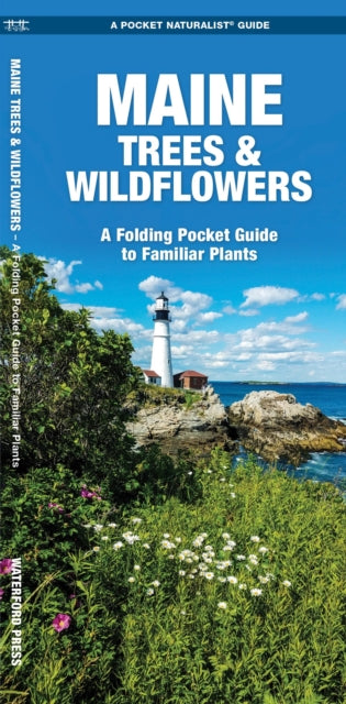 Maine Trees & Wildflowers: A Folding Pocket Guide to Familiar Species