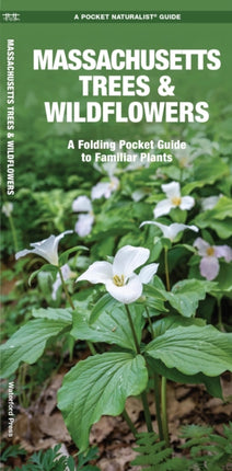 Massachusetts Trees & Wildflowers: A Folding Pocket Guide to Familiar Plants