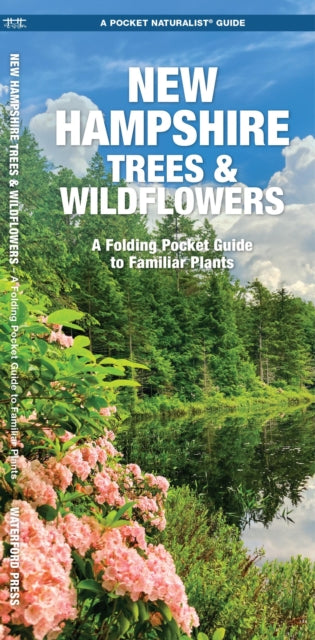 New Hampshire Trees & Wildflowers: A Folding Pocket Guide to Familiar Species