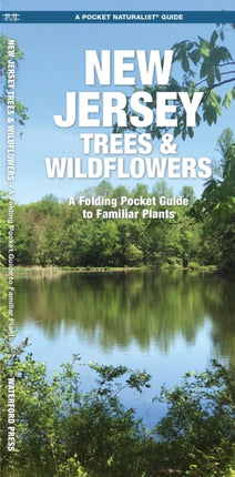 New Jersey Trees & Wildflowers: A Folding Pocket Guide to Familiar Species