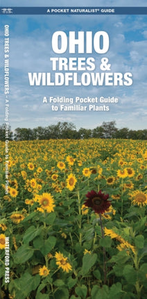 Ohio Trees & Wildflowers: A Folding Pocket Guide to Familiar Plants