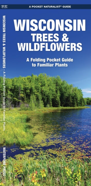 Wisconsin Trees & Wildflowers: A Folding Pocket Guide to Familiar Species