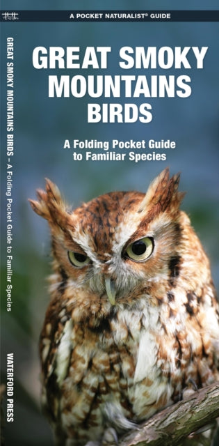 Great Smoky Mountains Birds: A Folding Pocket Guide to Familiar Species