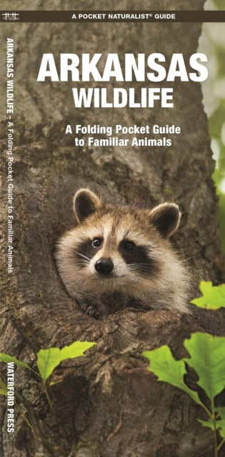 Arkansas Wildlife: A Folding Pocket Guide to Familiar Species