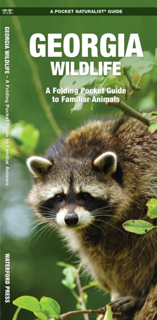 Georgia Wildlife: A Folding Pocket Guide to Familiar Species