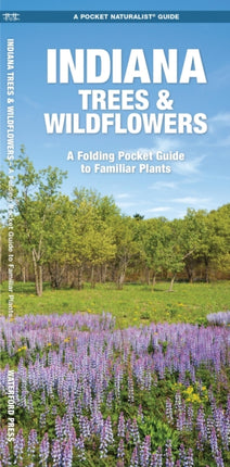 Indiana Trees & Wildflowers: A Folding Pocket Guide to Familiar Species