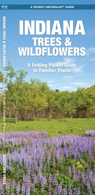 Indiana Trees & Wildflowers: A Folding Pocket Guide to Familiar Species