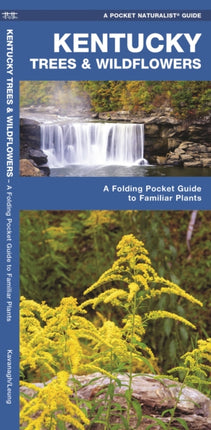 Kentucky Trees & Wildflowers: A Folding Pocket Guide to Familiar Species