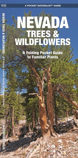 Nevada Trees & Wildflowers: A Folding Pocket Guide to Familiar Species